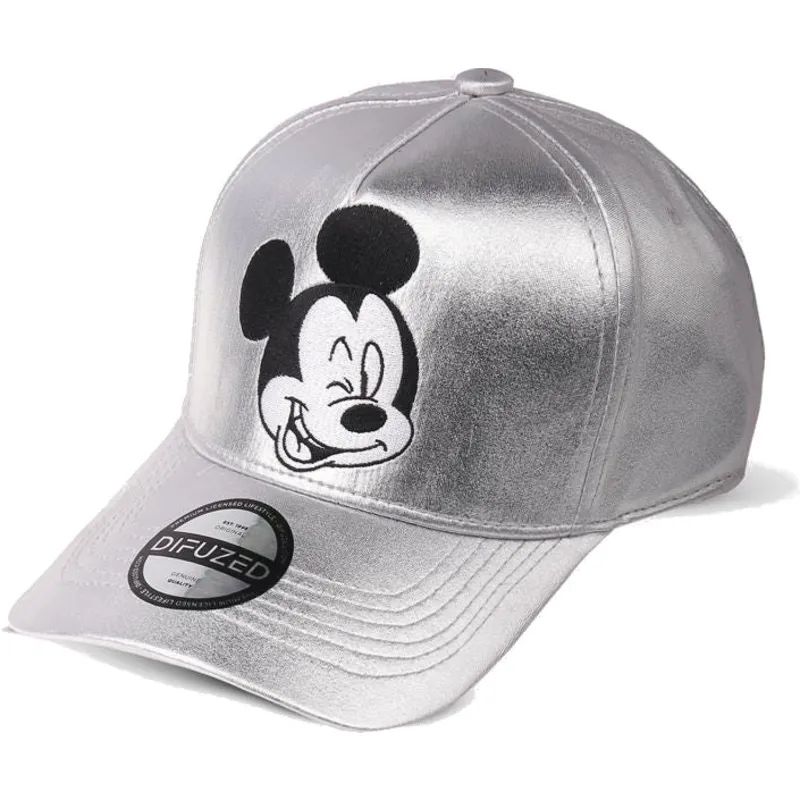 kasketter-buet-gra-snapback-af-difuzed