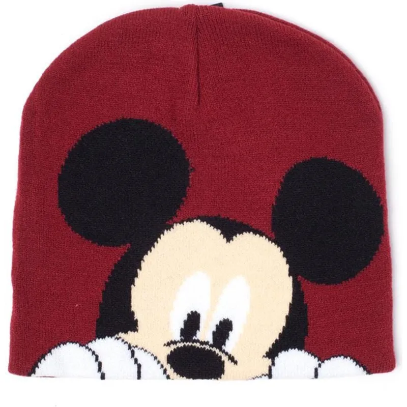 rod-mickey-mouse-disney-hue-fra-difuzed