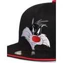 sort-flad-snapback-kasket-silvestre-space-jam-looney-tunes-fra-difuzed