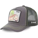 kasketter-buet-gra-snapback-broly-dragon-ball-af-capslab