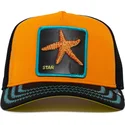 trucker-kasket-orange-og-sort-sostjerne-baby-i-m-a-star-the-farm-fra-goorin-bros