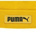 huer-gul-af-puma