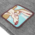 gra-coyote-kasket-bon-coy2-looney-tunes-fra-capslab