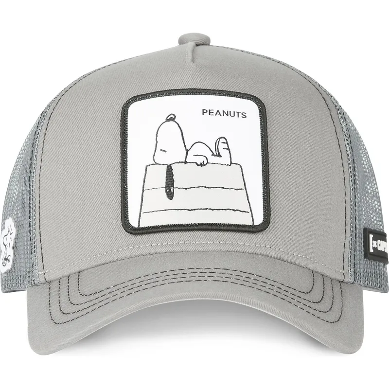 kasketter-buet-gra-snapback-snoopy-jordnodder-af-capslab