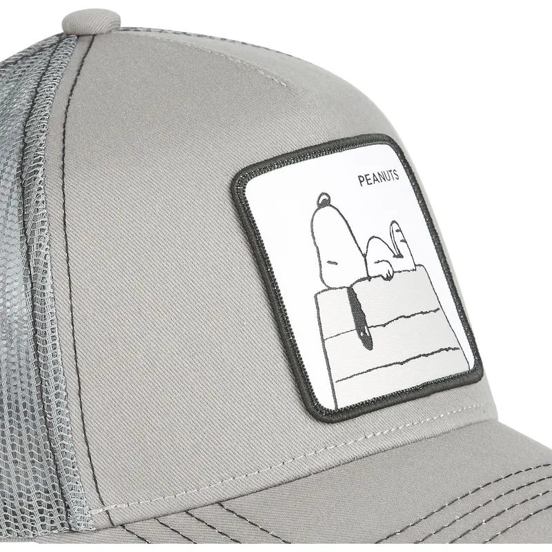 kasketter-buet-gra-snapback-snoopy-jordnodder-af-capslab