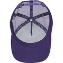 kasketter-buet-violet-snapback-the-farm-af-goorin-bros