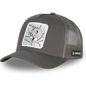 kasketter-buet-gra-snapback-tom-looney-tunes-af-capslab