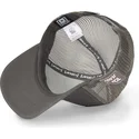 kasketter-buet-gra-snapback-tom-looney-tunes-af-capslab