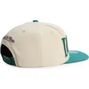 gron-og-beige-snapback-flat-cap-across-the-board-fra-anaheim-ducks-nhl-fra-mitchell-ness