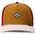multifarvet-trucker-kasket-hft-mobesea-chestnut-fra-djinns