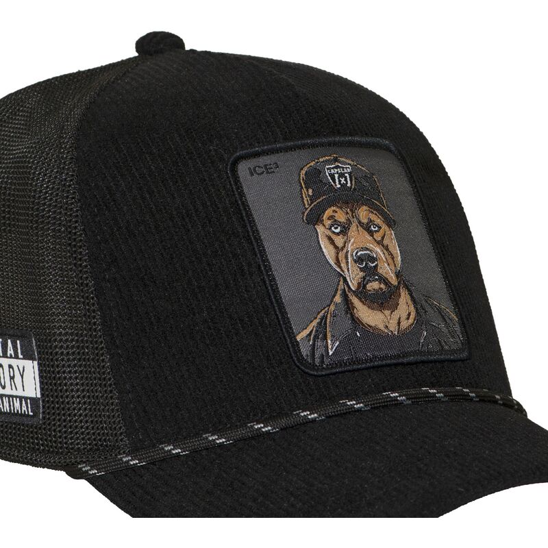 trucker-kasket-sort-bad-dog-hip-badb-hip-hop-dogz-fra-capslab