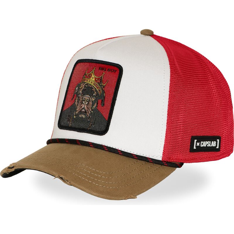 multifarvet-trucker-kasket-big-boy-hip-bigb-hip-hop-dogz-fra-capslab
