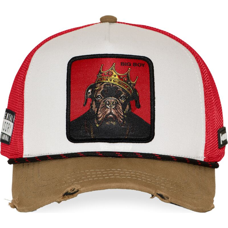 multifarvet-trucker-kasket-big-boy-hip-bigb-hip-hop-dogz-fra-capslab