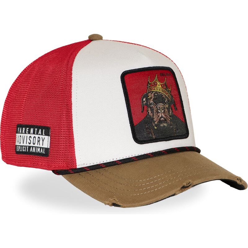 multifarvet-trucker-kasket-big-boy-hip-bigb-hip-hop-dogz-fra-capslab