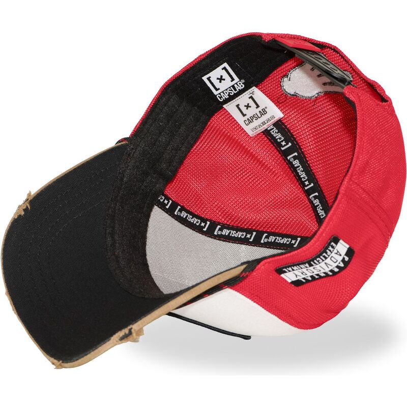 multifarvet-trucker-kasket-big-boy-hip-bigb-hip-hop-dogz-fra-capslab