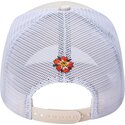 kasketter-buet-beige-snapback-tokyo-geisha-af-ed-hardy