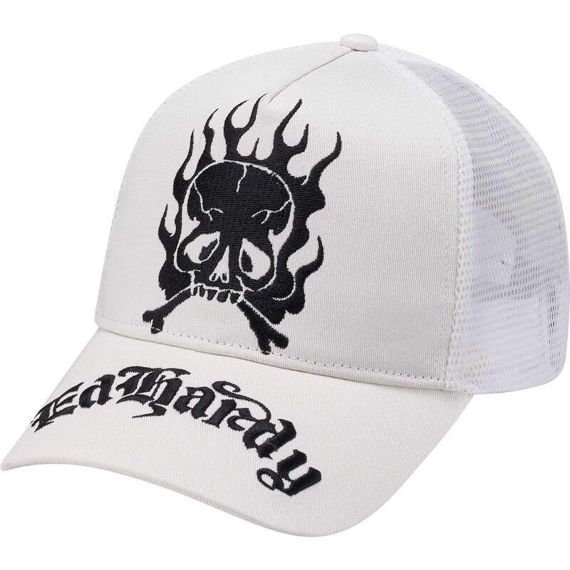 kasketter-buet-hvid-snapback-gothic-skull-in-flames-af-ed-hardy kasketter-buet-hvid-snapback-gothic-skull-in-flames-af-ed-hardy
