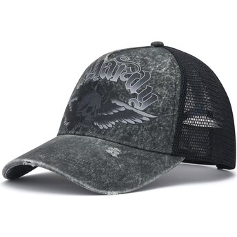 Kasketter buet grå snapback Flaming Gothic Skull Washed af Ed Hardy
