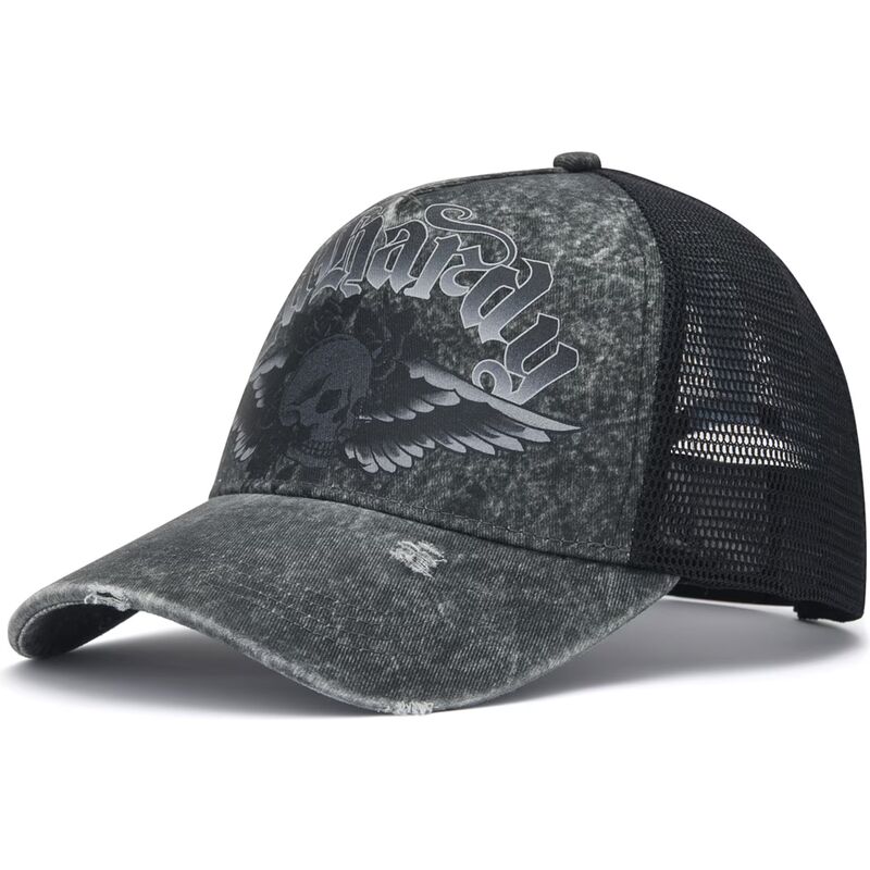 kasketter-buet-gra-snapback-flaming-gothic-skull-washed-af-ed-hardy