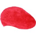 baretter-rod-furgora-504-af-kangol