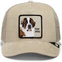 kasketter-buet-beige-snapback-corduroy-top-dog-ridgeline-the-farm-goorin-bros